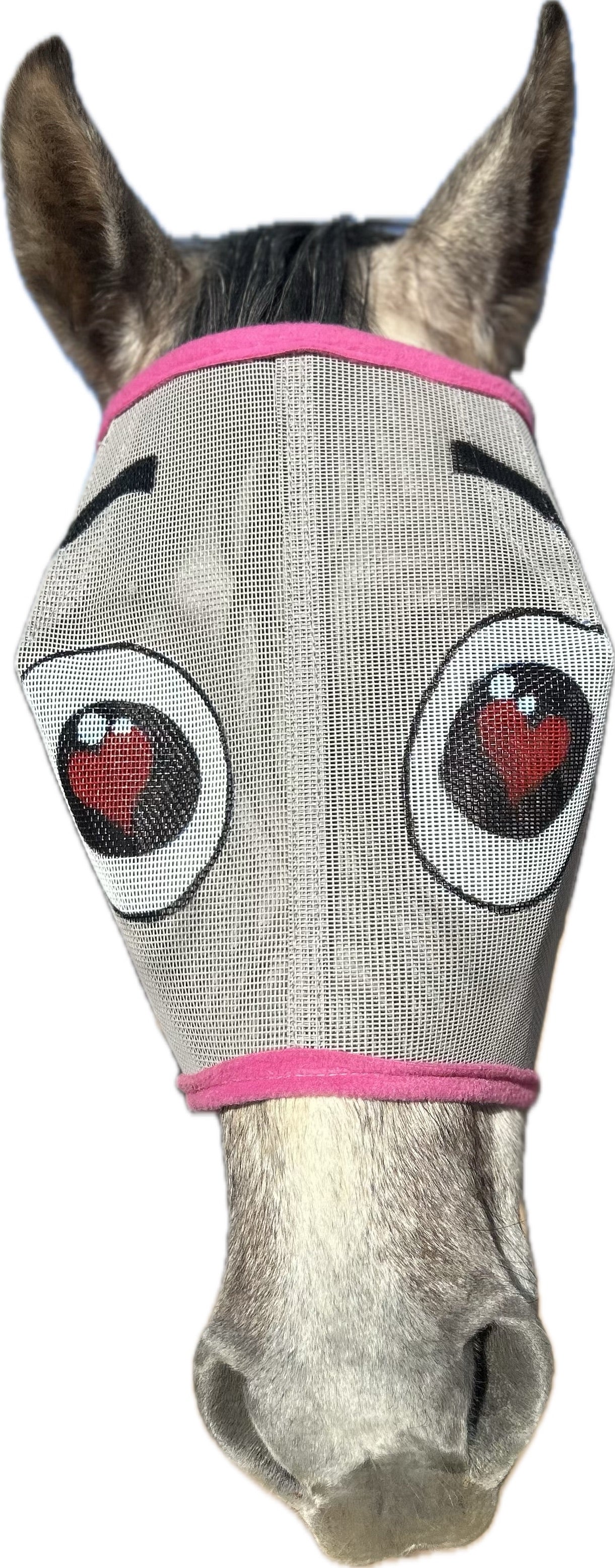 Grey horse with a fly mask. The mask is grey with pink trim, hand-painted hearts in many colors on the cheeks.  The mask also has large eyes that have hearts as pupils.