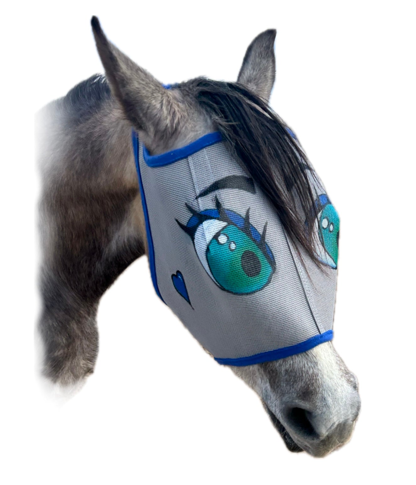 Picture of grey horse wearing a fun fly mask. What makes it fun? It has large cartoon green eyes with blue eyeshadow and thick eyelashes  that that are giving a flirty look.  A blue heart is painted on one cheek. The mask is grey mesh with a navy blue edge trim.  