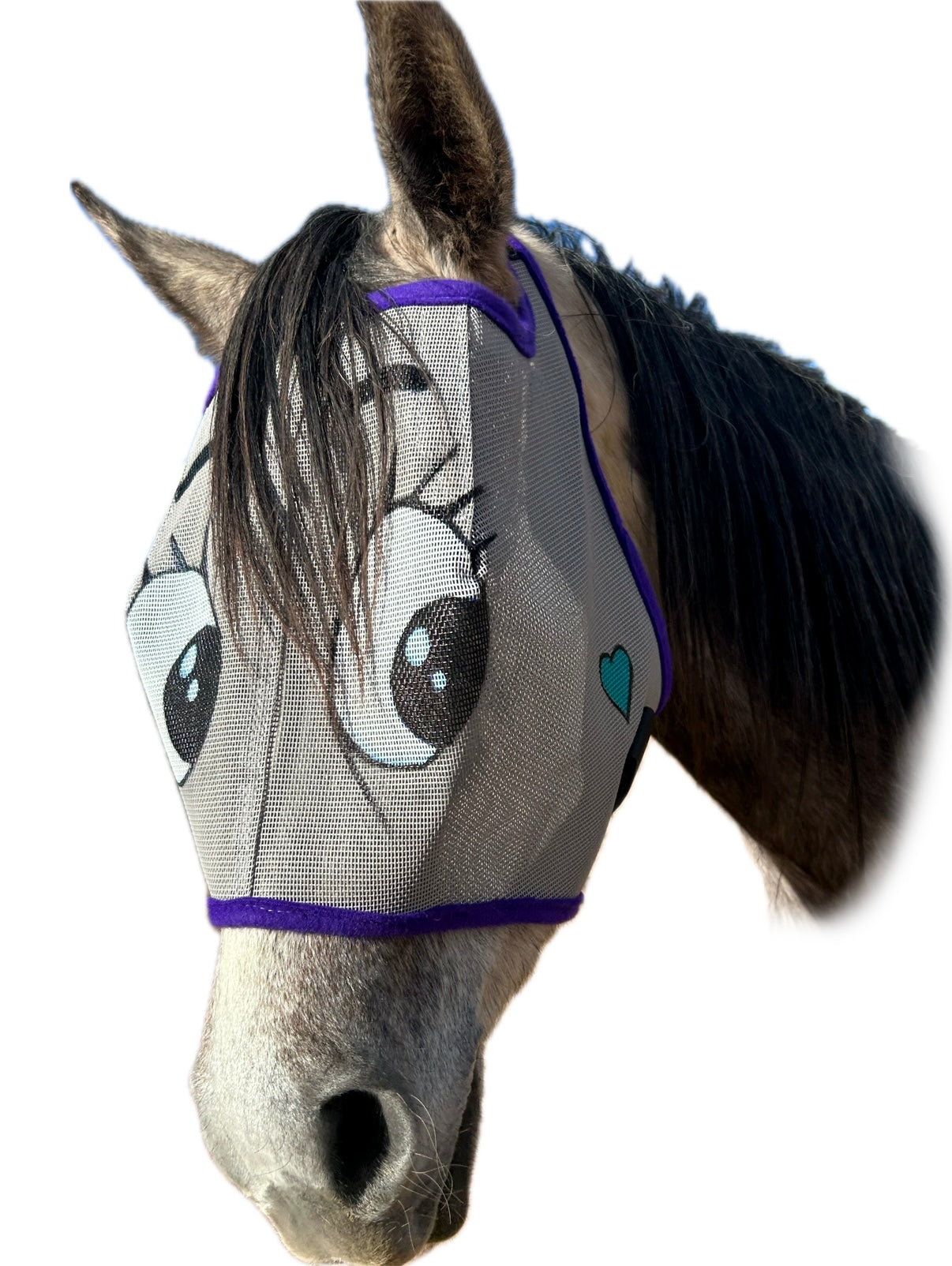 Custom Fly Mask With An Attitude