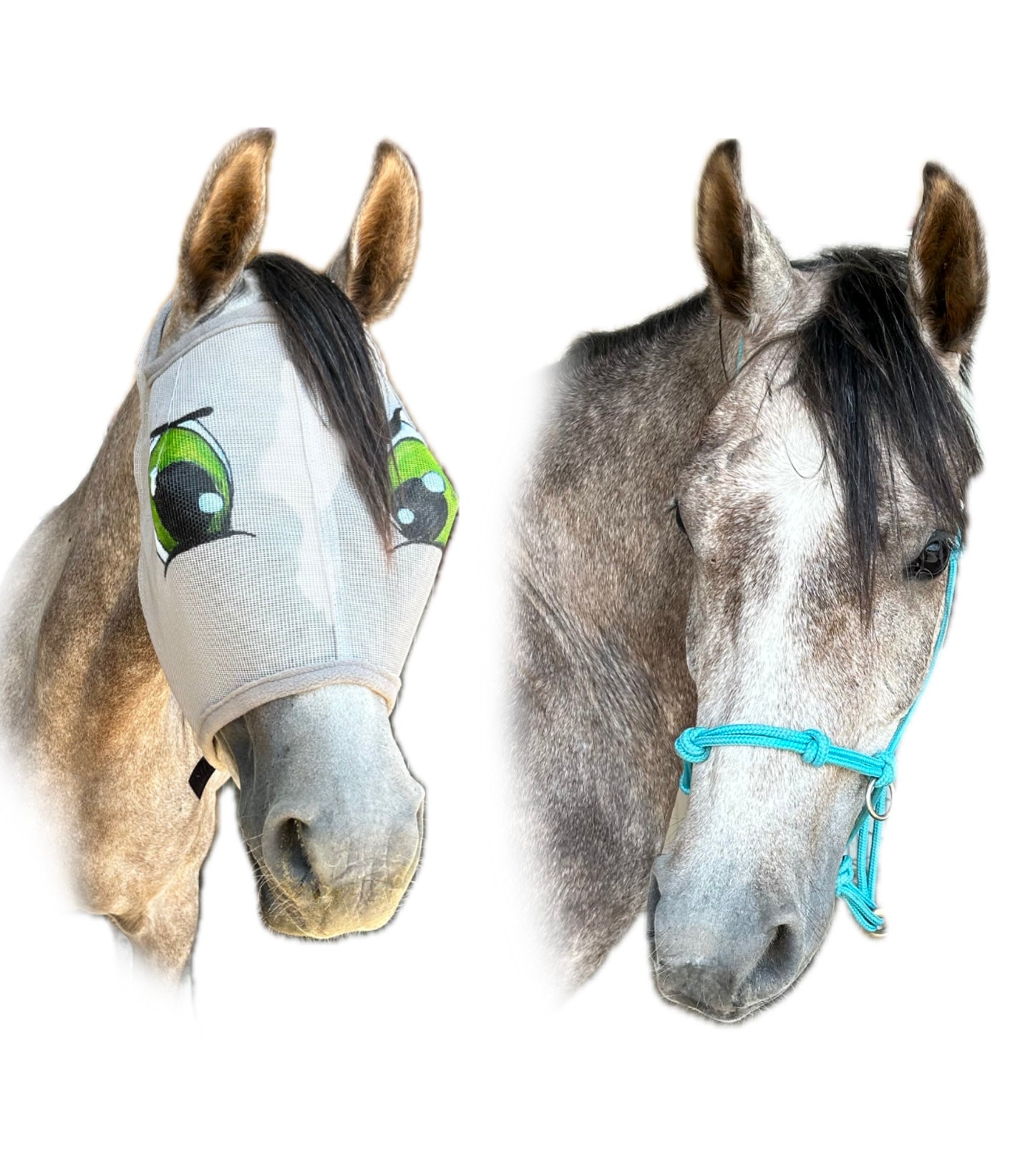 Custom Fly Mask With An Attitude