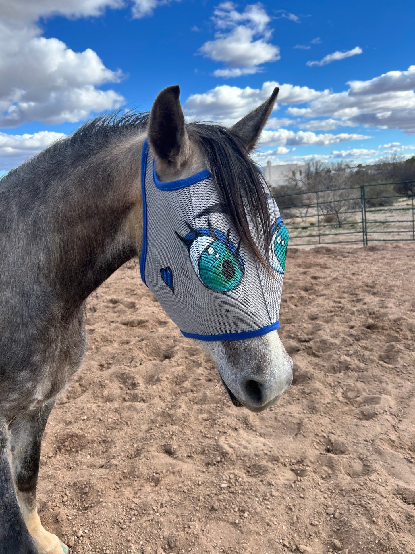 Fun flirty fly mask from the right side, showing heart on the cheek.