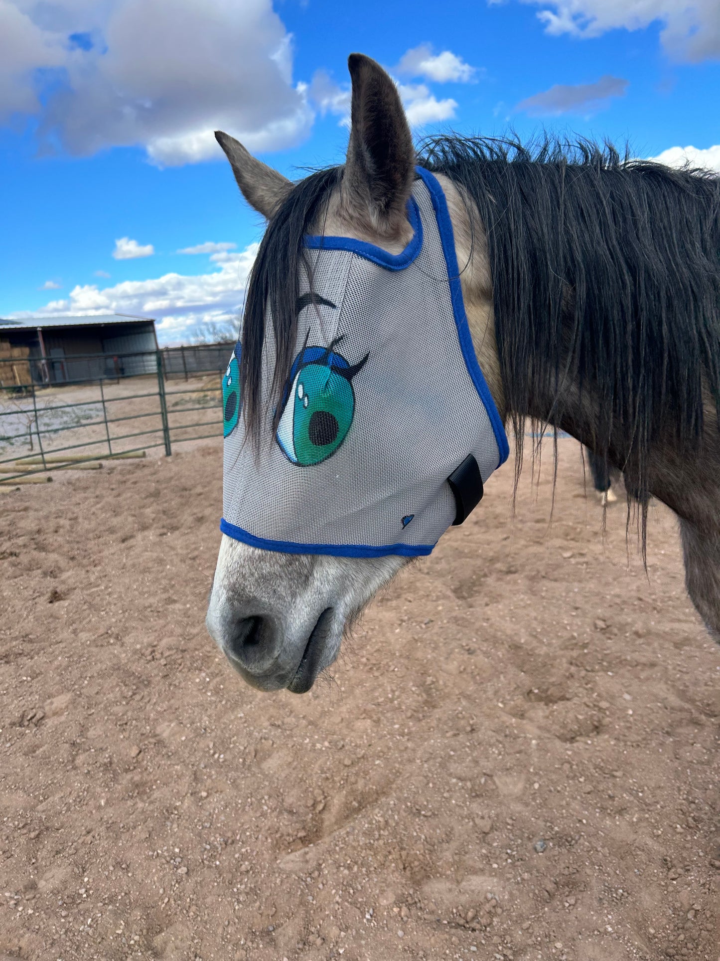 Fly Mask With Attitude - Green Eyed Flirt