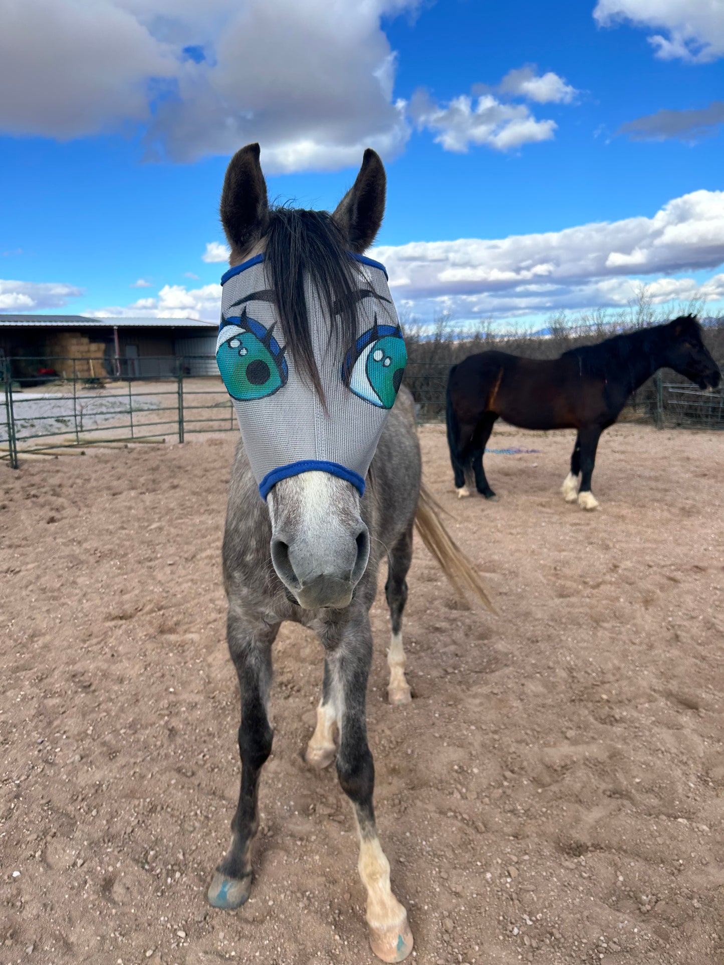 Fly Mask With Attitude - Green Eyed Flirt