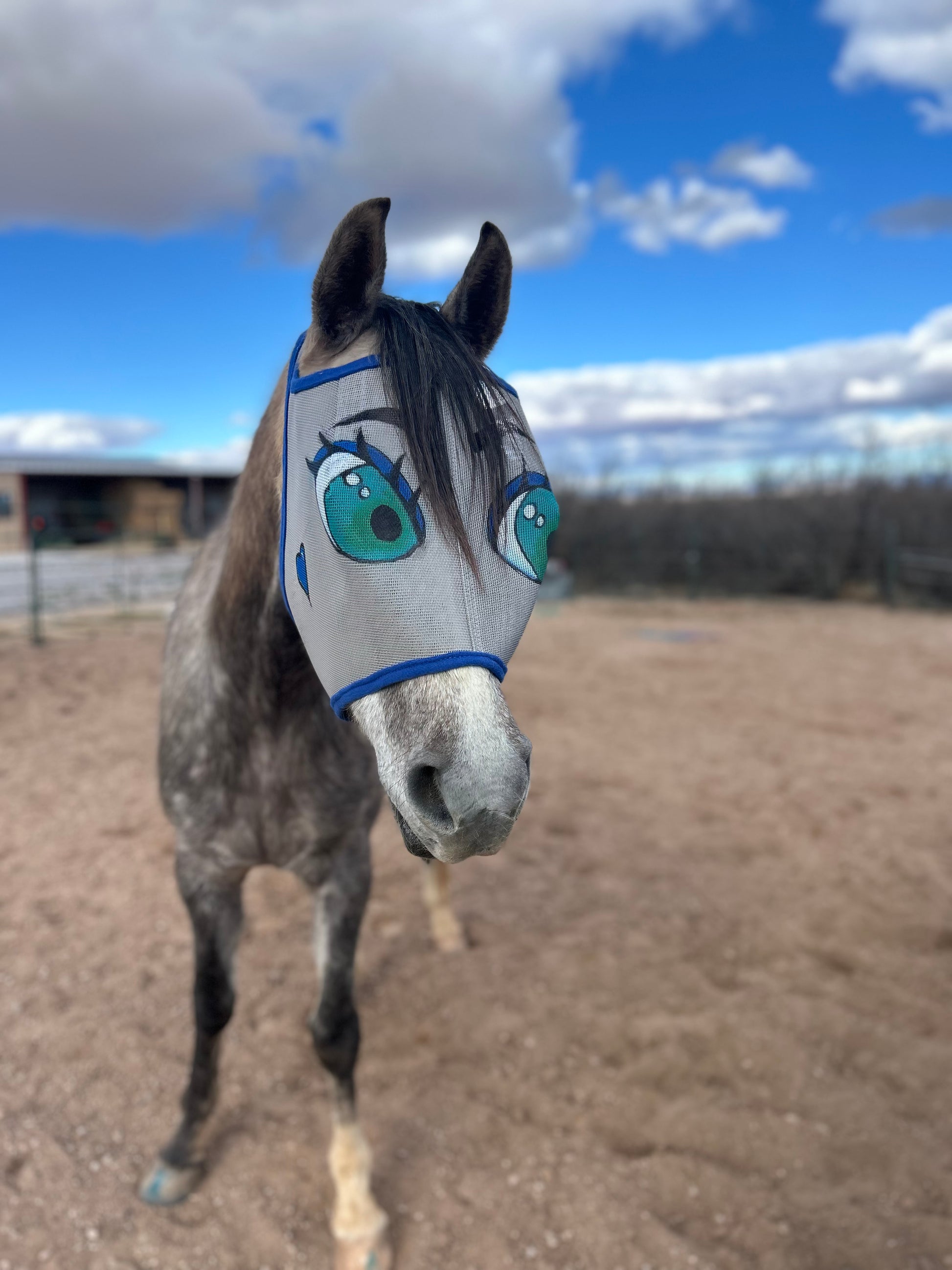 Fun fly mask with green eyes looking to the side. 