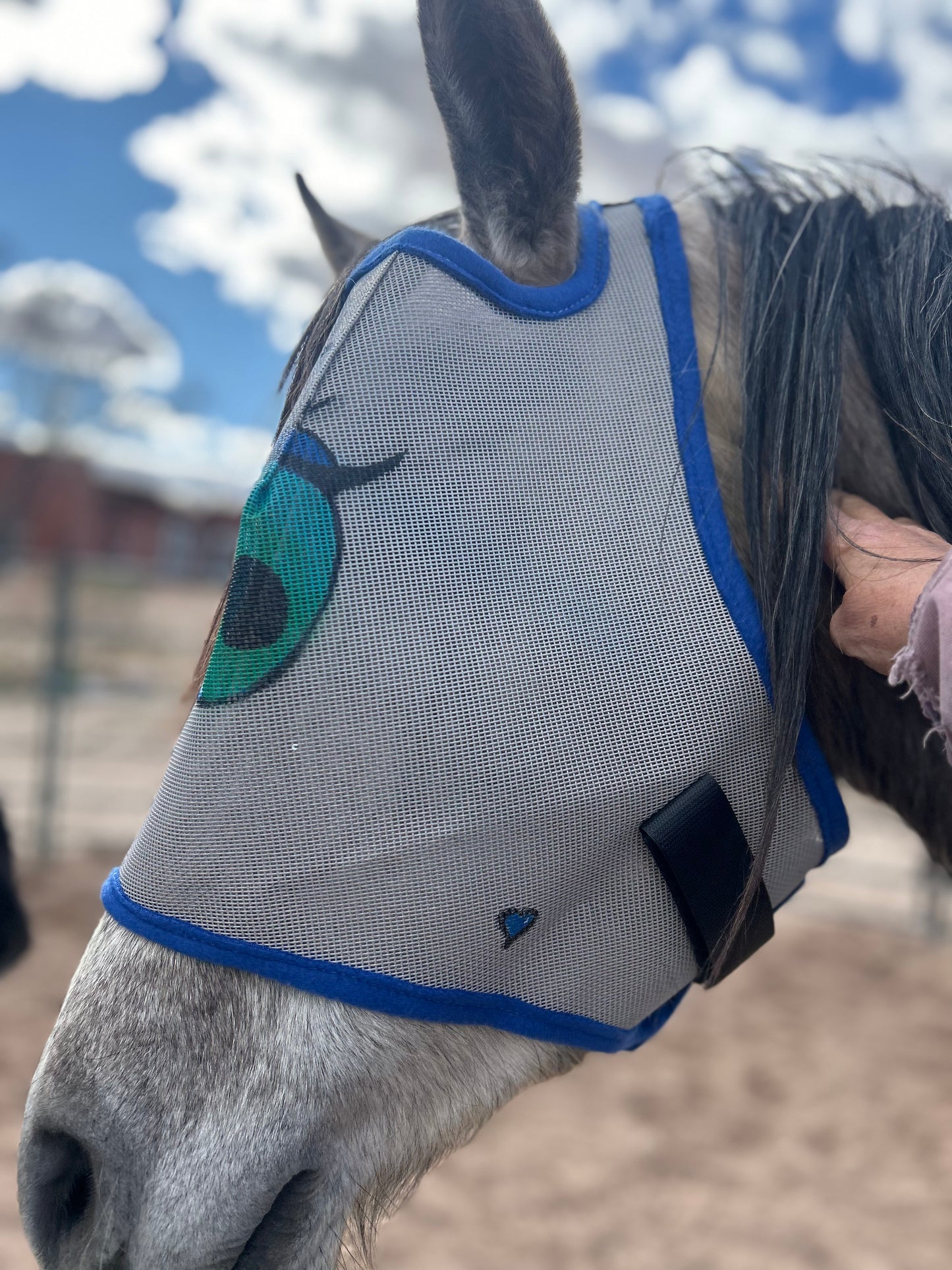 Fly Mask With Attitude - Green Eyed Flirt