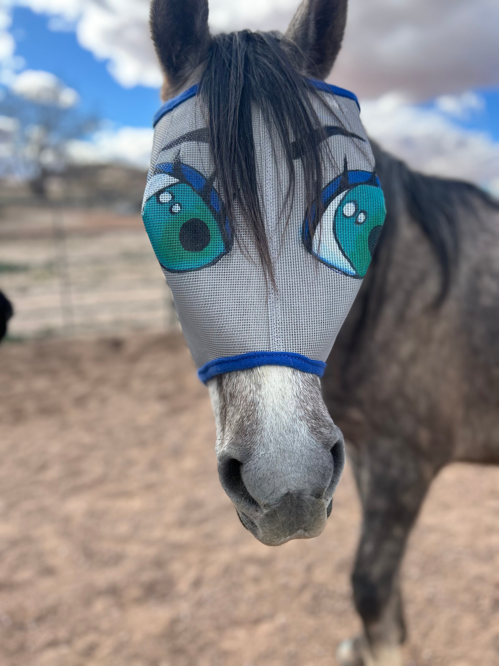 Fun fly mask with green cartoon eyes face forward.