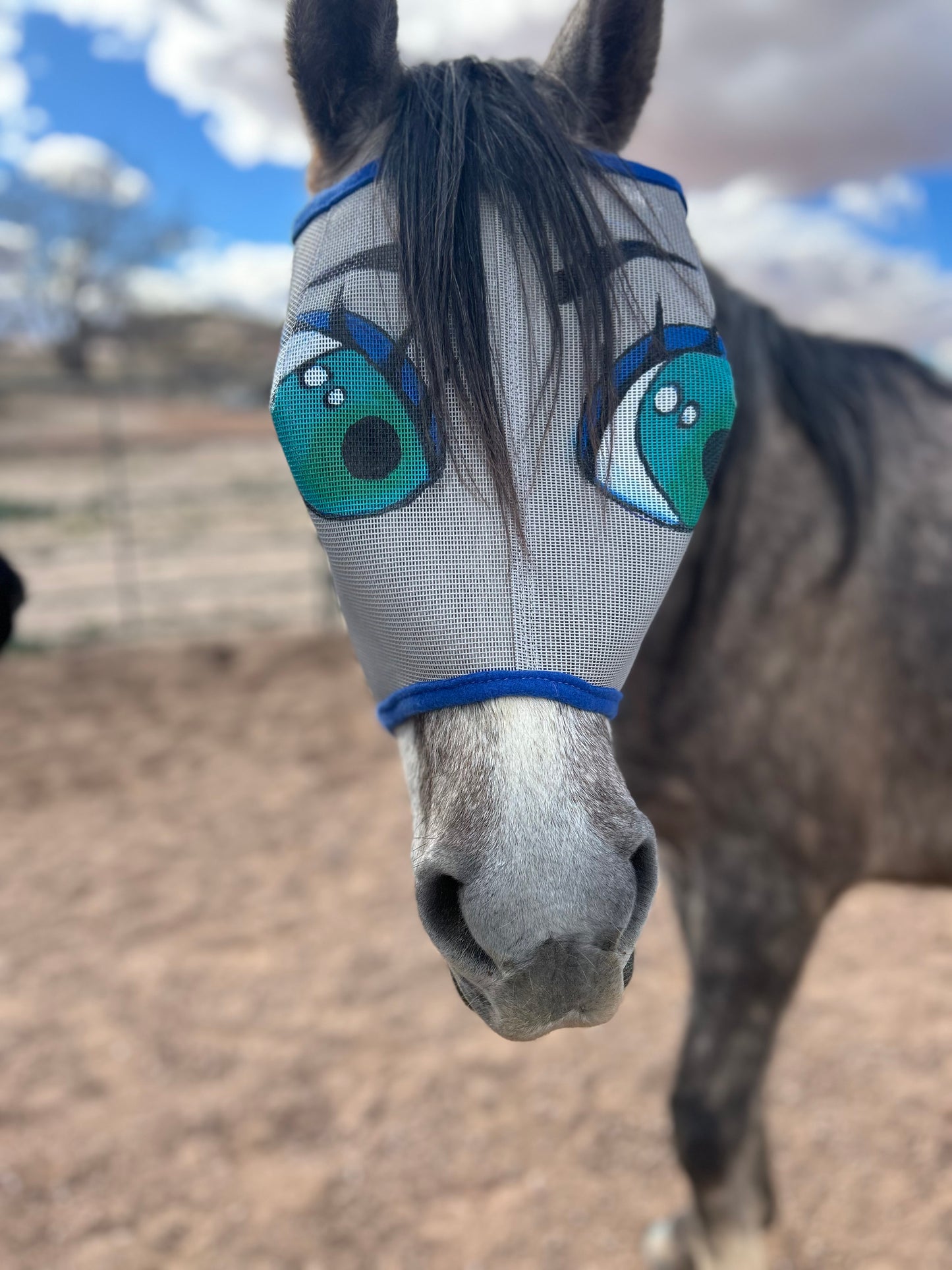 Fly Mask With Attitude - Green Eyed Flirt