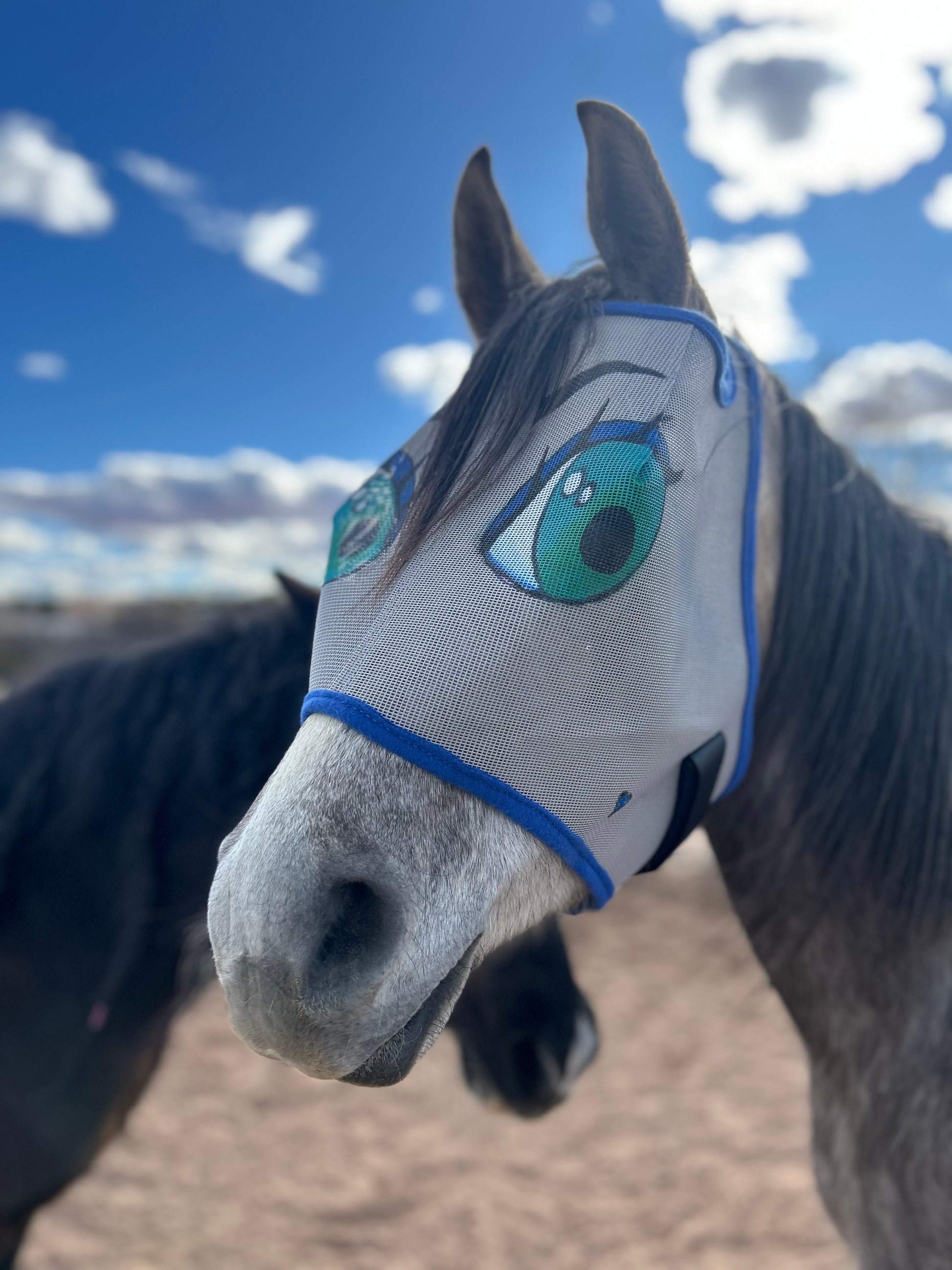 Fun fly mask from the left side showing the Velcro  attachment