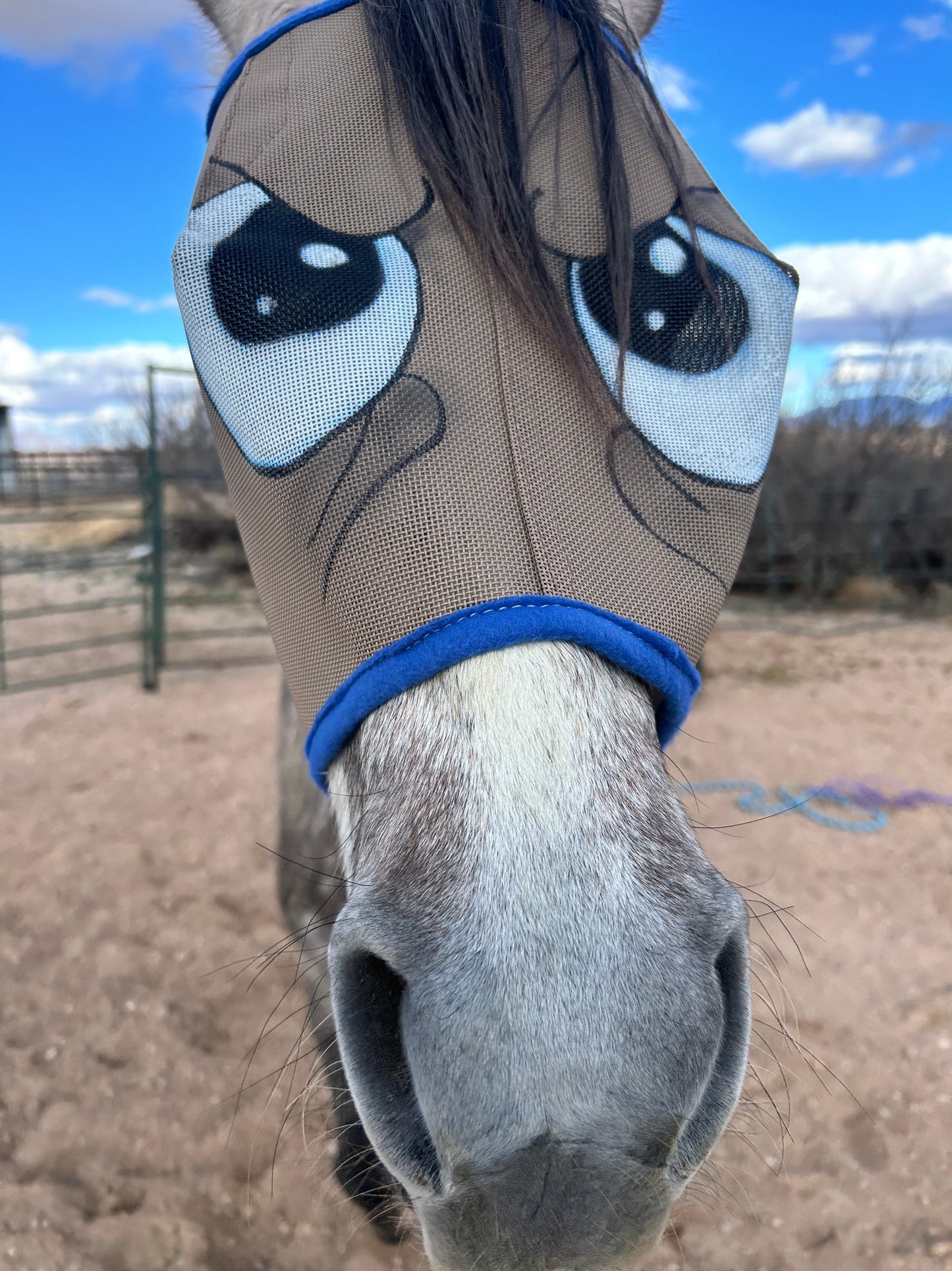 Fly Mask With Attitude - Grumpy