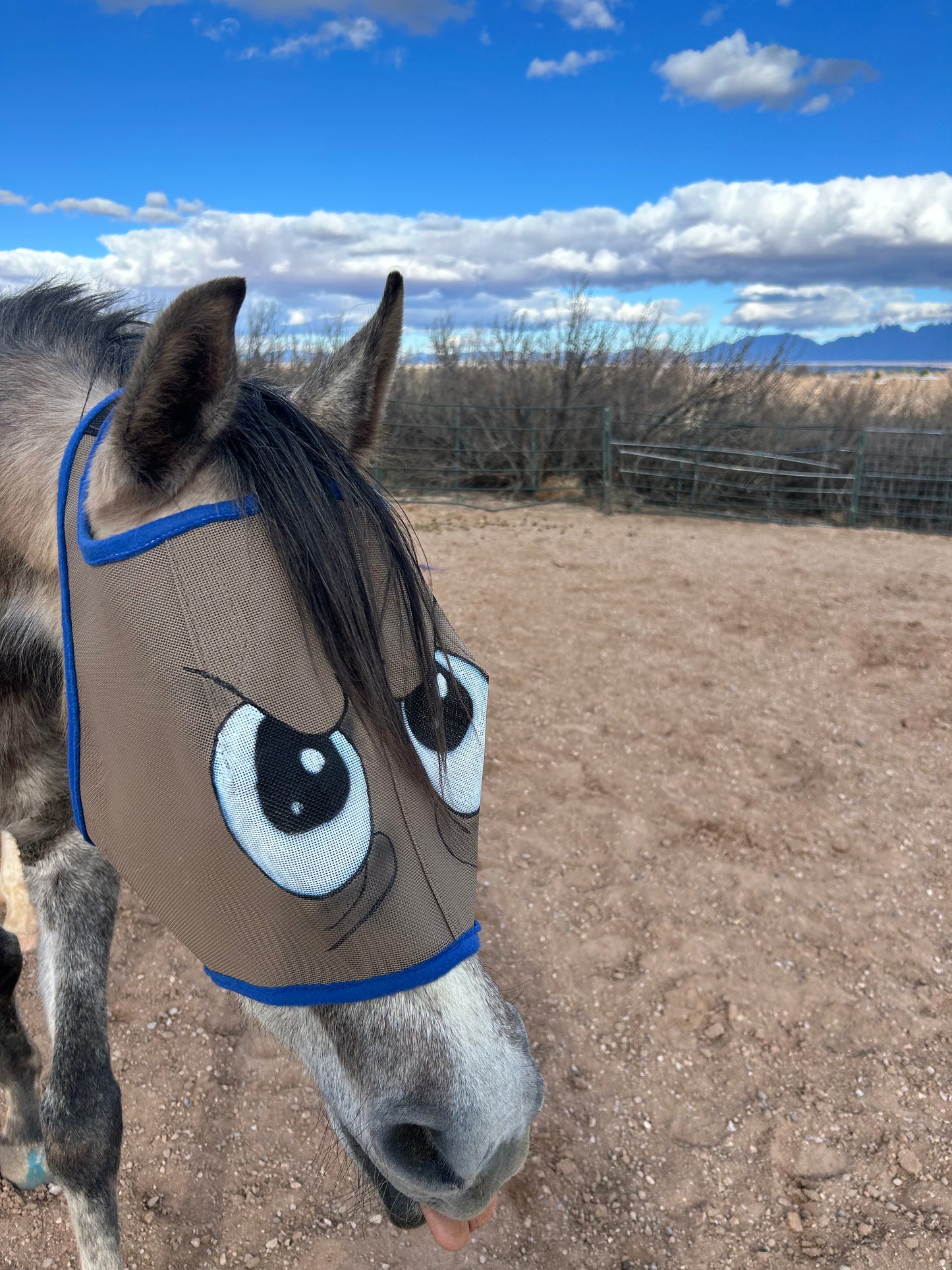 Fly Mask With Attitude - Grumpy