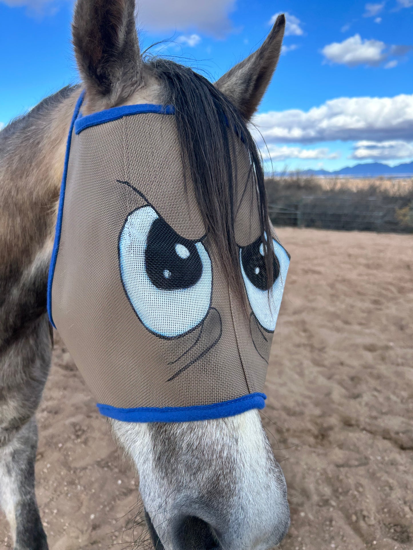 Fly Mask With Attitude - Grumpy