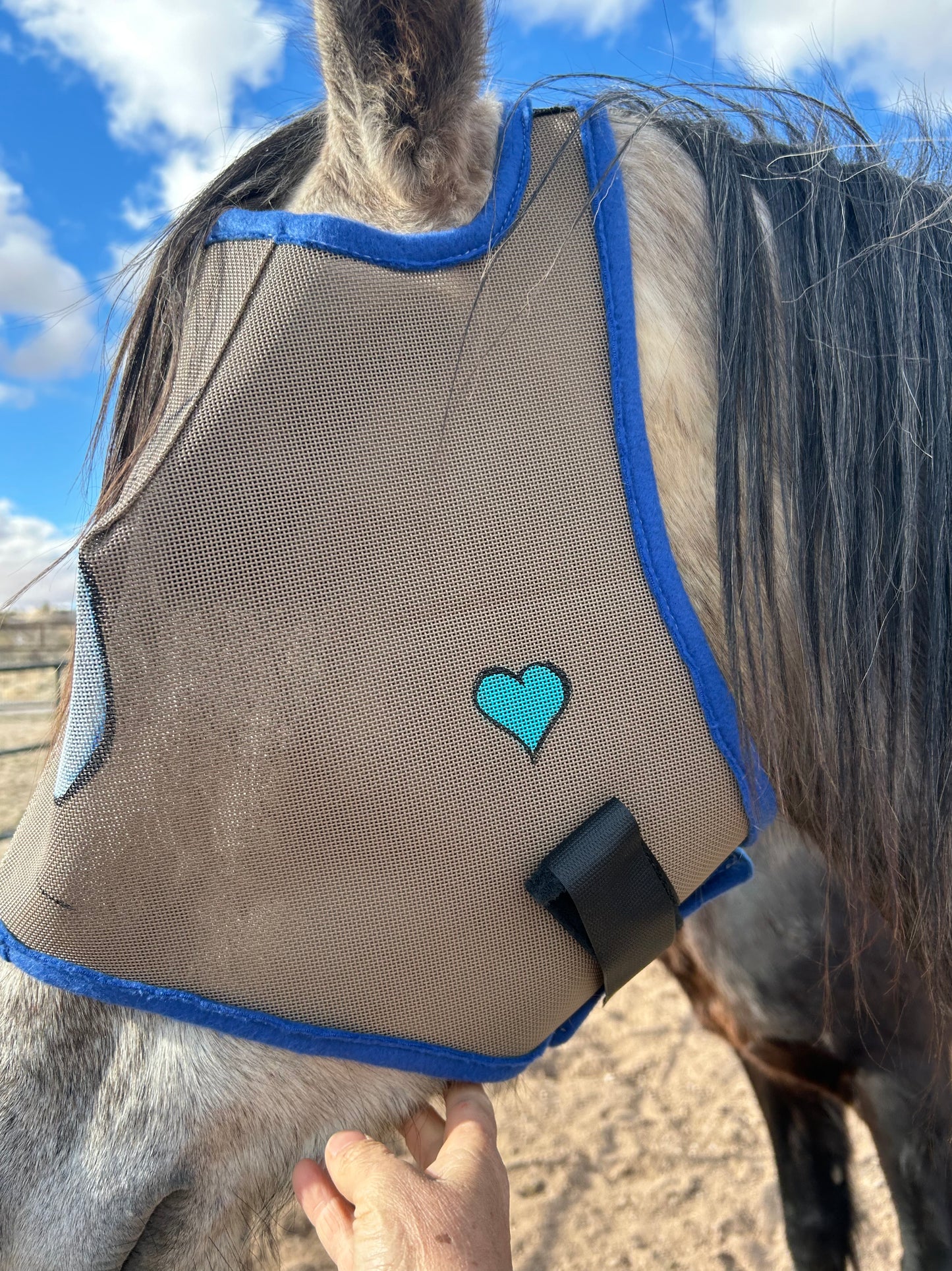 Fly Mask With Attitude - Grumpy