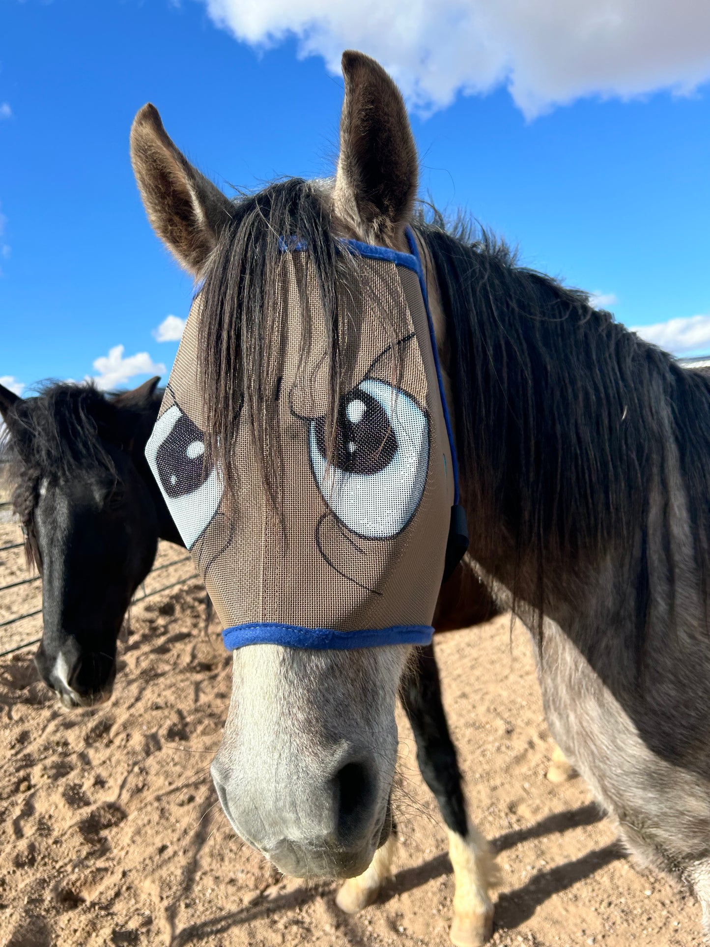 Fly Mask With Attitude - Grumpy