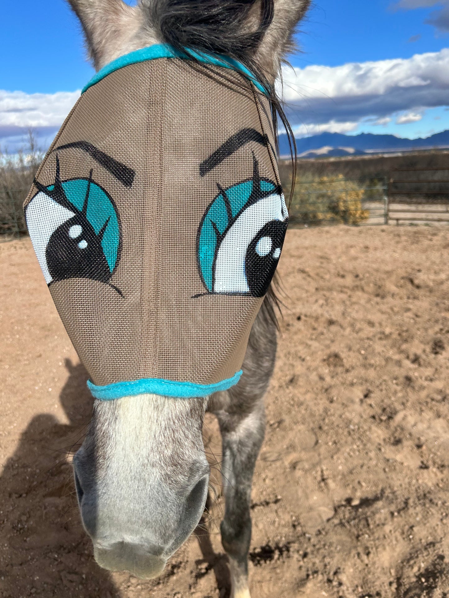 Fly Mask With Attitude - Flirty