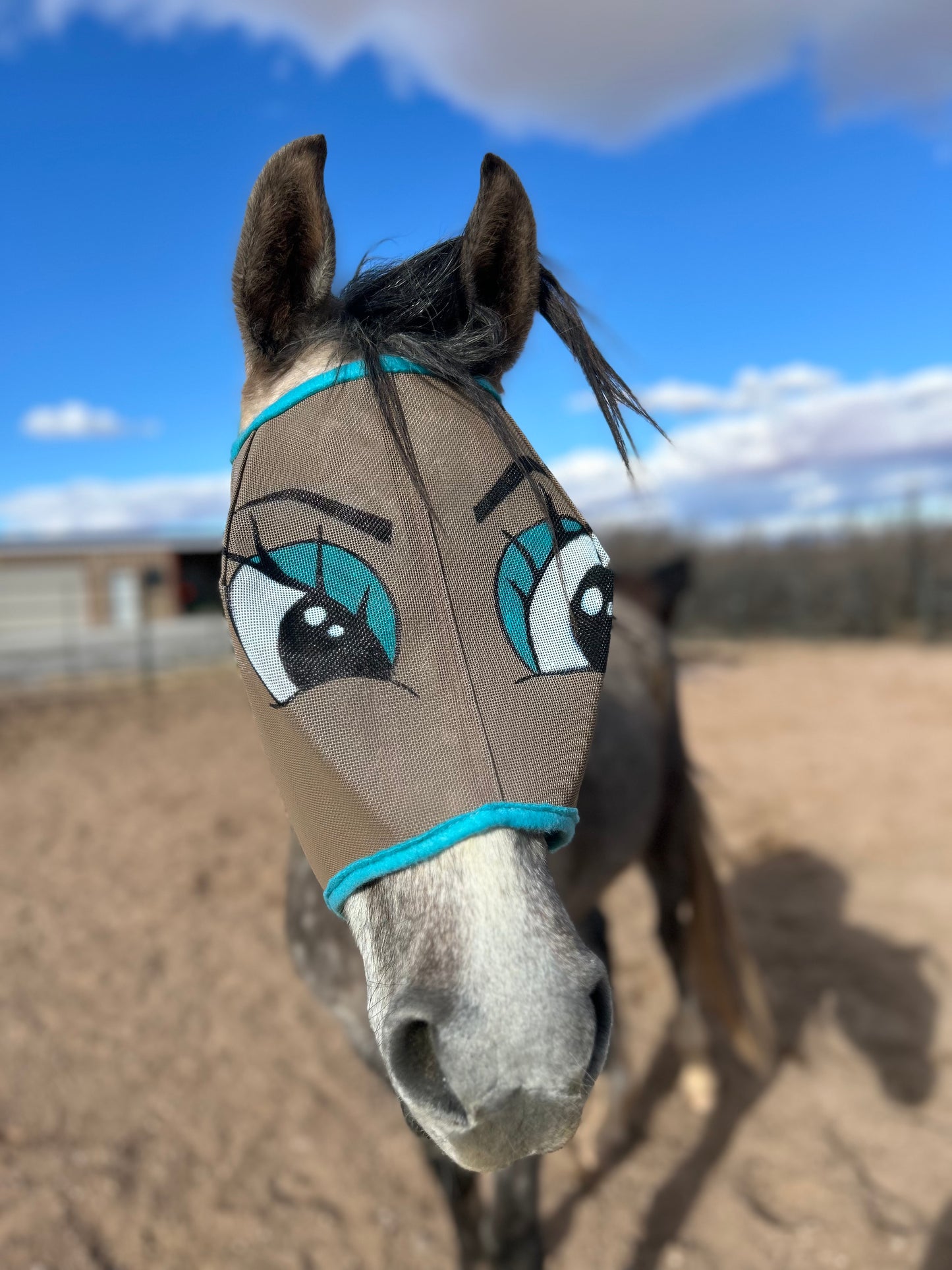 Fly Mask With Attitude - Flirty