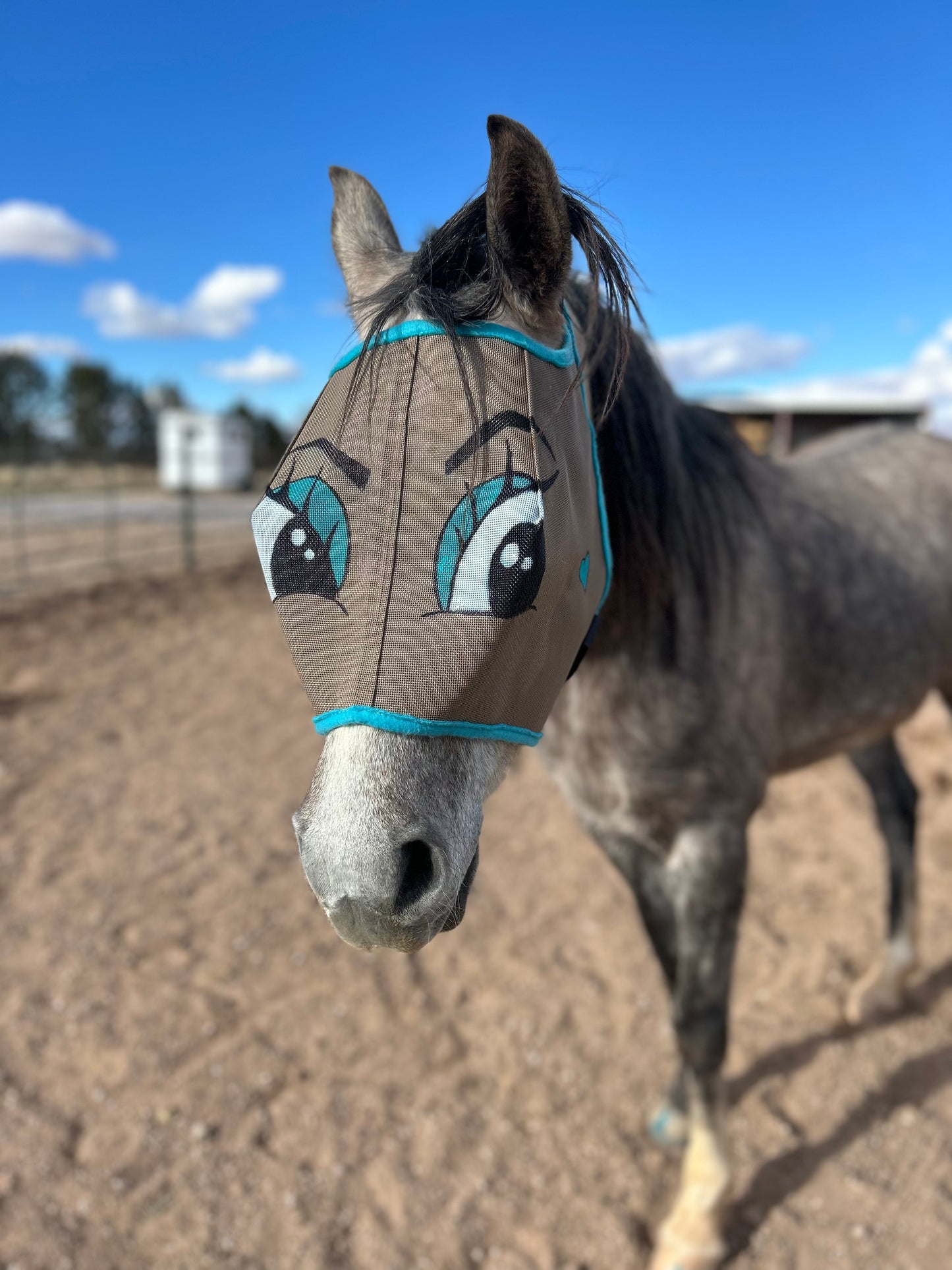 Fly Mask With Attitude - Flirty