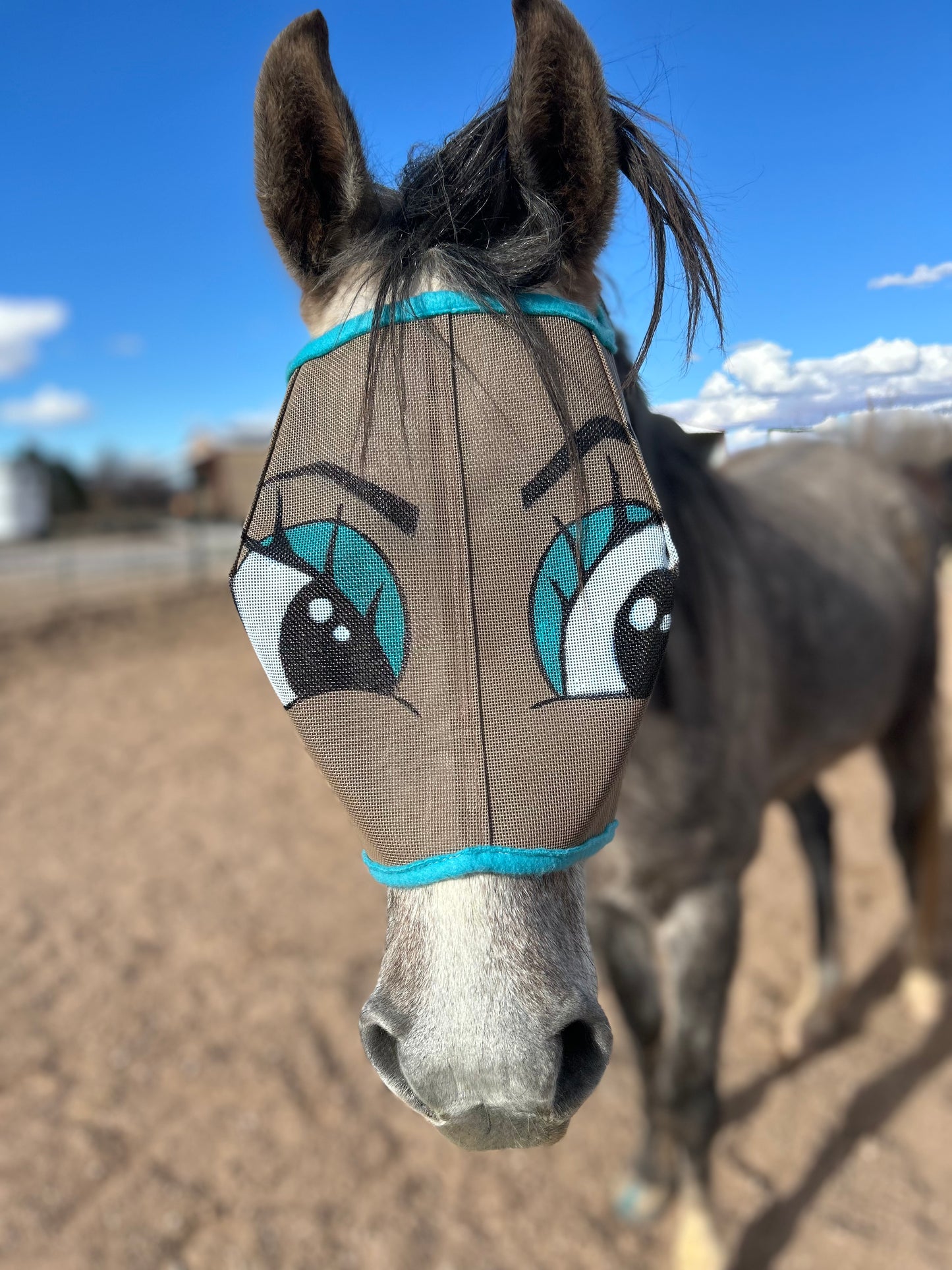 Fly Mask With Attitude - Flirty