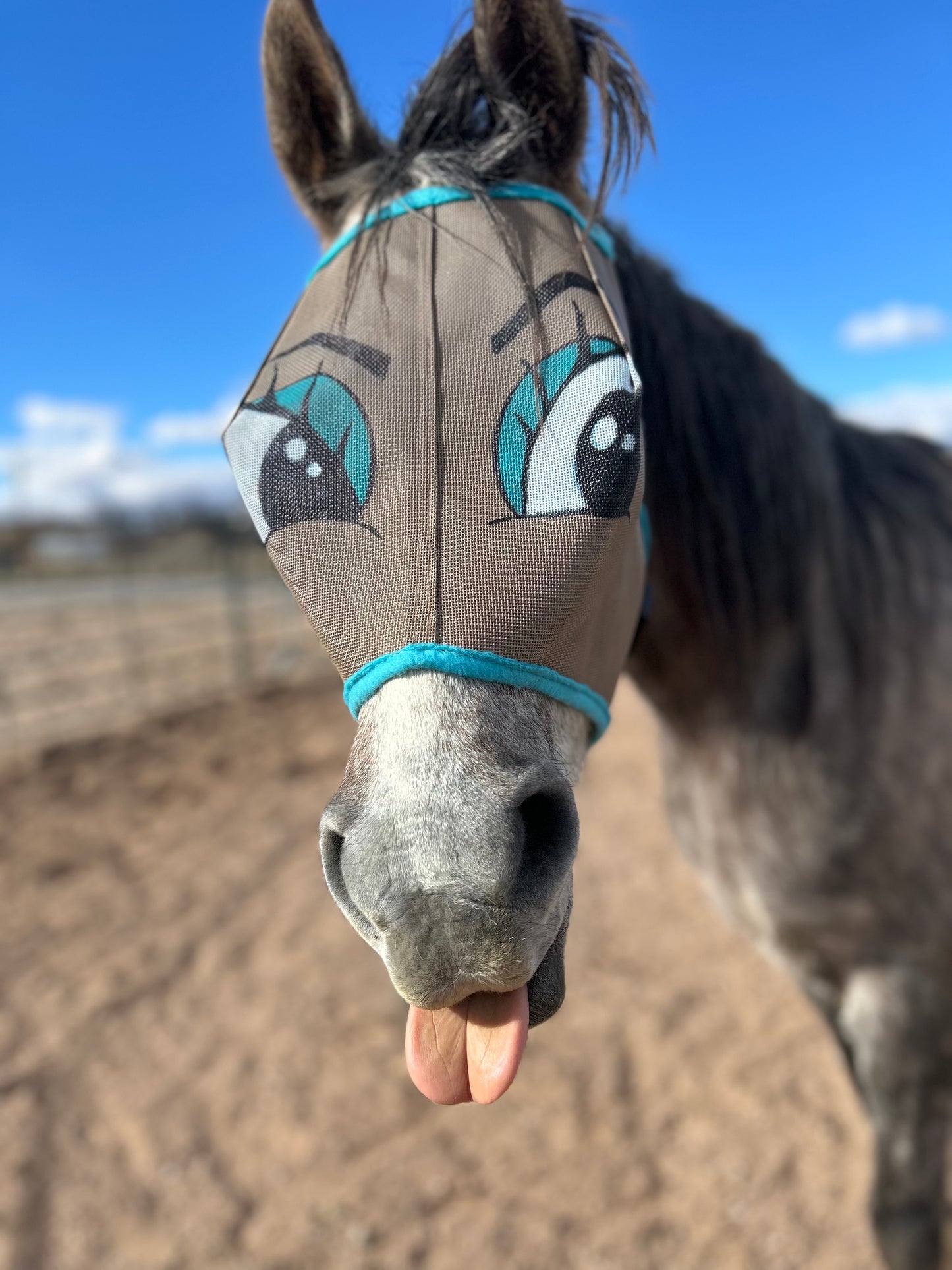 Fly Mask With Attitude - Flirty